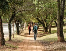 Inep: Universidades federais e cursos presenciais têm melhor desempenho