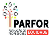 MEC divulga resultado preliminar do Parfor Equidade