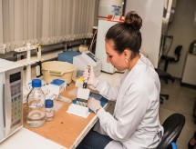 Pesquisa aprovada em edital da Capes propõe nova estratégia de tratamento para pacientes com covid-19