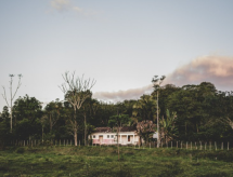Federais lideram pesquisas sobre emergência climática no Brasil