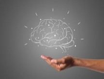 Prêmio internacional de neurobiologia oferece mais de R$100 mil a jovem cientista