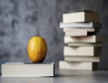 Pedagogos criticam a desvalorização da profissão