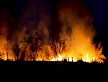 Governo lança cartilha alunos da Amazônia sobre queimadas