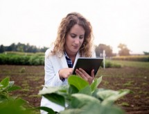 Lançado edital para doutorado em Agricultura nos EUA